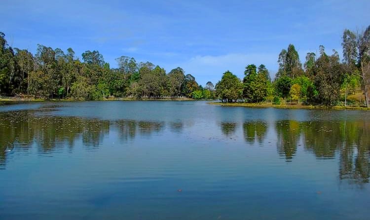 kodaikanal