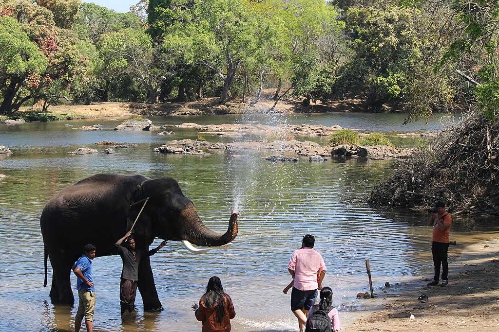 madikeri