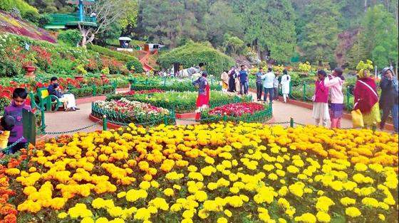 ooty