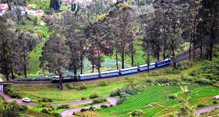 ooty